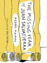 The Missing Year of Juan Salvatierra - Pedro Mairal - 9781939931061