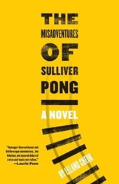 The Misadventures of Sulliver Pong