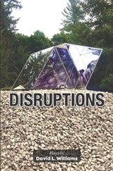 Disruptions - David L Williams - 9781940233918