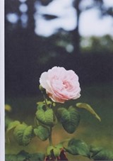 28 Photographs for Newtown, CT - Joshua Smith - 9781940881225
