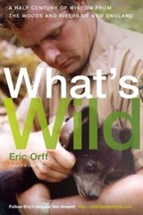 What's Wild - Eric Orff - 9781942155768