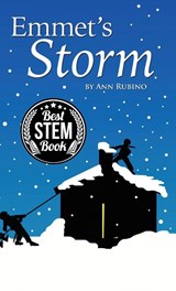 Emmet's Storm - Ann Rubino - 9781942247067