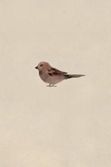 Sparrow Field Journal Notebook, 100 pages/50 sheets, 4x6 - PRESS,  Poetose - 9781945366093