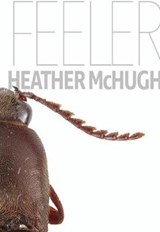 Feeler - Heather McHugh - 9781946448422