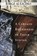 A Certain Roughness in Their Syntax, Jorge Aulicino - Paperback - 9781946482020