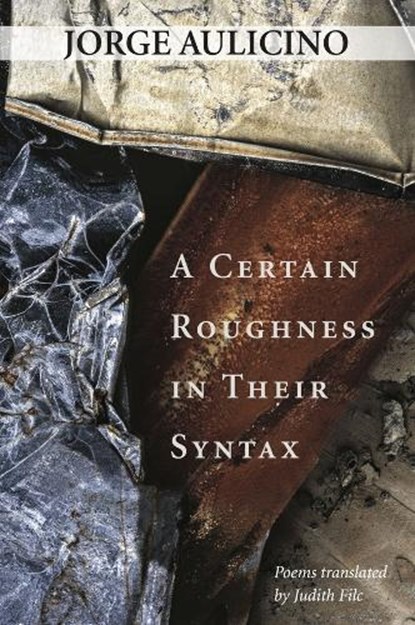 A Certain Roughness in Their Syntax, Jorge Aulicino - Paperback - 9781946482020