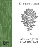 Brantingham, J: Kitkitdizzi - John Brantingham - 9781947240377