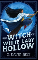 The Witch of White Lady Hollow - C David Belt - 9781947578418
