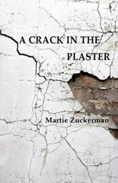A Crack in the Plaster