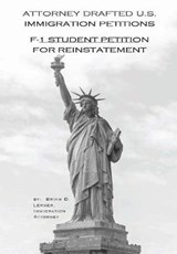 Attorney Drafted U.S. Petitions - LERNER,  Brian D - 9781948774093