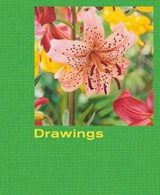 Mathew Cerletty: Drawings - Mathew Cerletty - 9781949172652