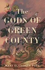The Gods of Green County - Mary Elizabeth Pope - 9781949467710