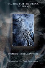 Waiting for the Wreck to Burn - Michele Battiste - 9781949487015