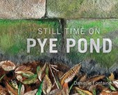 Still Time on Pye Pond