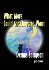 What More Could the Universe Want - Dennis Sampson - 9781950475292