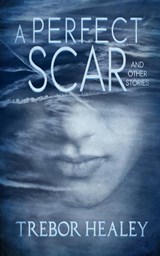 A Perfect Scar and Other Stories - Trebor Healey - 9781951092979