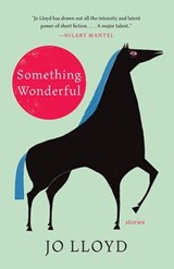 Something Wonderful - Jo Lloyd - 9781951142803