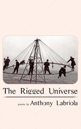 The Rigged Universe - Anthony Labriola - 9781951651213
