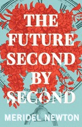 The Future Second by Second - Meridel Newton - 9781953736123
