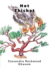 Hot Thicket - ROCKWOOD GHANEM,  Cassandra - 9781955239189