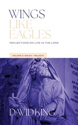 Wings Like Eagles - David King - 9781955285568