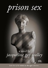 Prison Sex - Jacqueline Gay Walley - 9781955314077