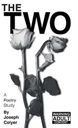 The Two - Joseph Colyer - 9781955498012