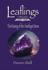 The Raising of the Amethyst Stone - Darren Shell - 9781955622271