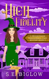 High Fidelity - S. E. Biglow - 9781955988254