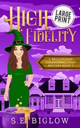 High Fidelity - S E Biglow - 9781955988605