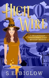 High Wire - S. E. Biglow - 9781955988674