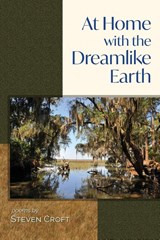 At Home with the Dreamlike Earth - Steven Croft - 9781956285482