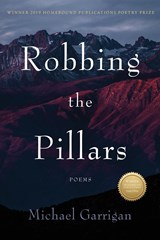 Robbing the Pillars - Michael Garrigan - 9781956368680