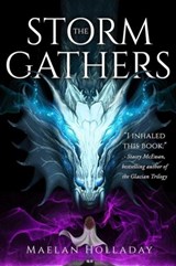The Storm Gathers - Maelan Holladay - 9781958607046