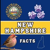 New Hampshire Facts - Mimi Jones - 9781958985854