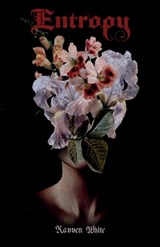 Entropy - Ravven White - 9781959860600