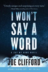 I Won't Say a Word - Joe Clifford - 9781960725134