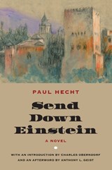 Send Down Einstein - Paul Hecht - 9781961056145