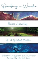 Dwelling in Wonder - Starr Regan Diciurcio - 9781961624559