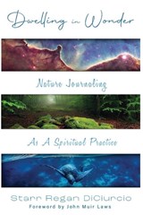 Dwelling in Wonder - Starr Regan Diciurcio - 9781961624566