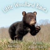 Little Woodland Babies - Jessica Lee Anderson - 9781964078687