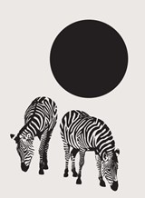Wool Moon - Zachary Schomburg - 9781965154274