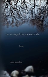 The ice stayed but the water left - Chad Weeden - 9781965412060