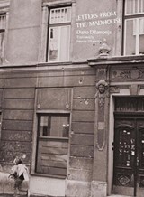 Letters from the Madhouse - Dario Dzamonja ; Nevena Dzamonja - 9781965874226
