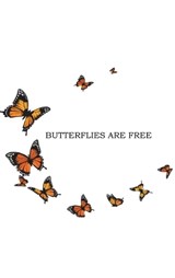 Butterflies Are Free - Shirley M Ford - 9781966815044