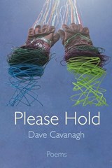 Please Hold - Dave Cavanagh - 9781967022106