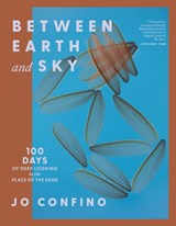Between Earth and Sky - Jo Confino - 9781967175024