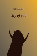 city of god - Bill Lavender - 9781968422028