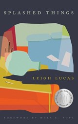 Splashed Things - Leigh Lucas - 9781968507053