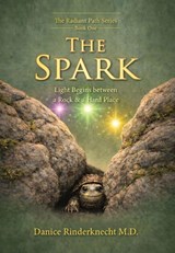 The Spark - Danice Rinderknecht MD - 9781970582147